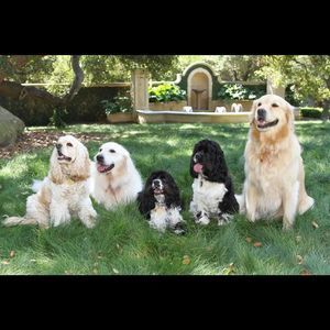 Meet your Posher, Carmelle